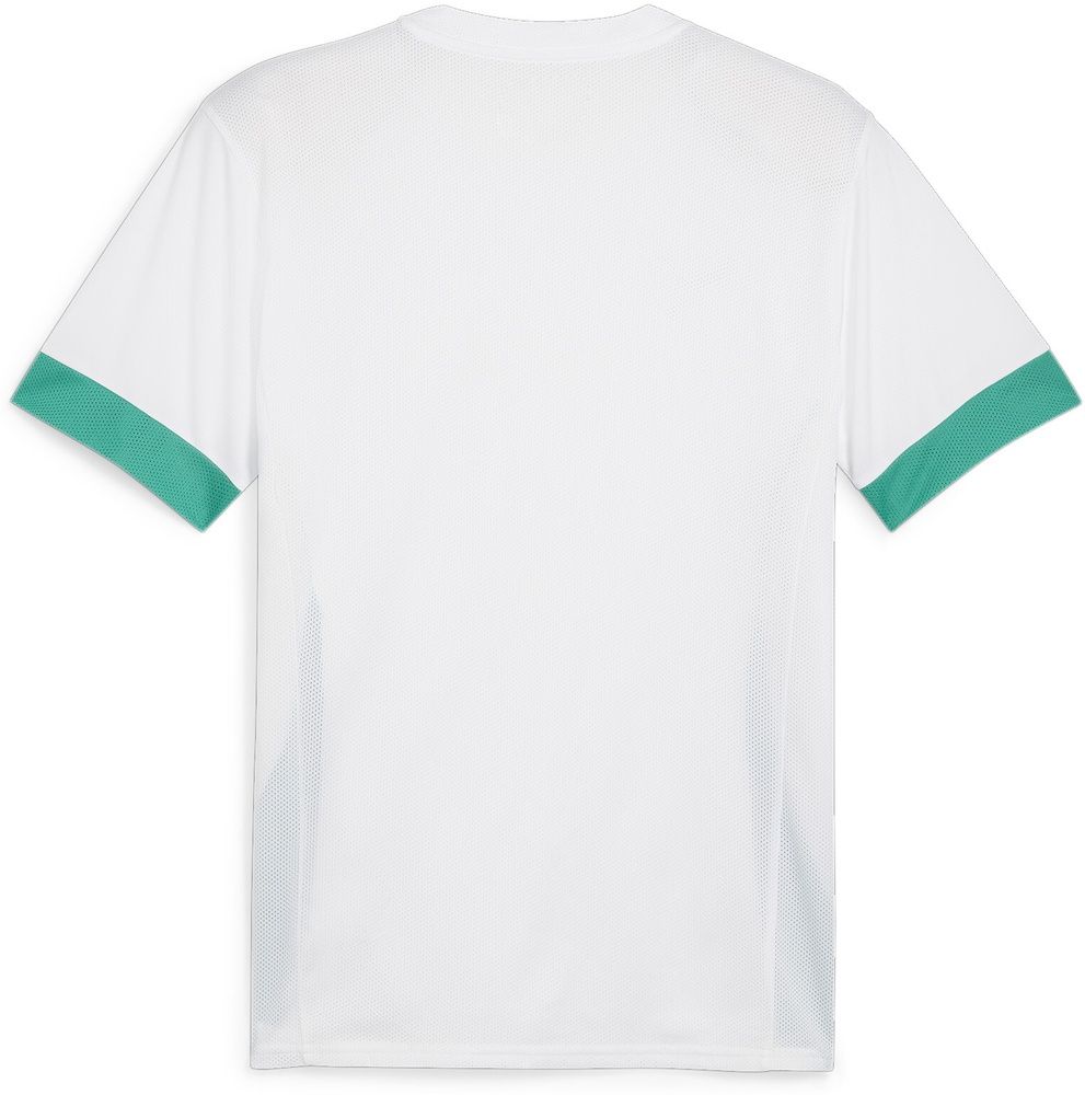 PumaTeamGoalMatchdayJersey705747PumaWhite-SportGreen-SportGreen-S