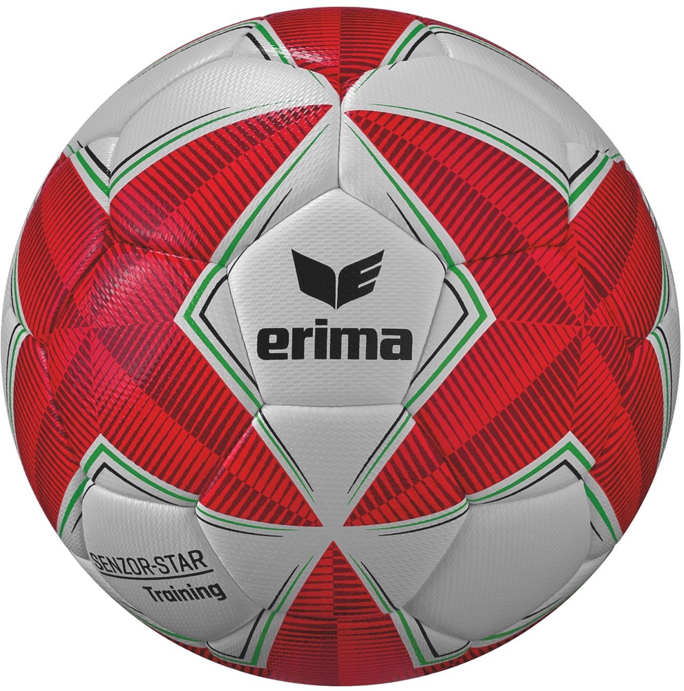ErimaFuballSenzor-StarTraining25-6452