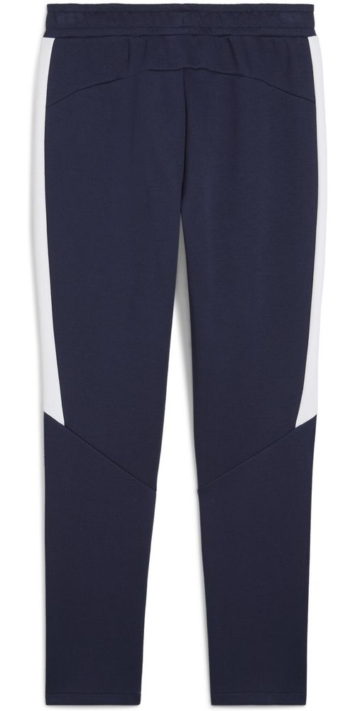 PumaSporthoseTeamEVOSTRIPEPants659948