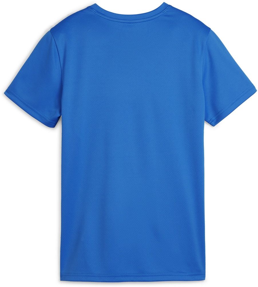 PumaDamenShirtTeamGoalJerseyWmn658638ElectricBlueLemonade-PumaWhite-XS